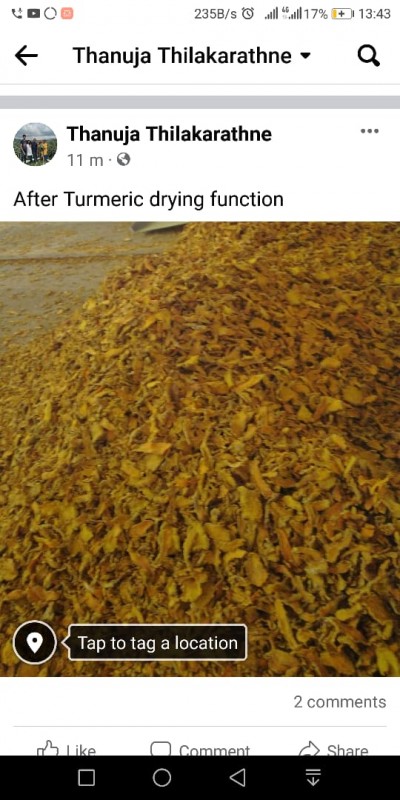Eco Turmeric Product from Sri Lanka